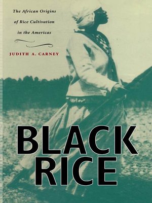 cover image of Black Rice